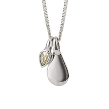 Load image into Gallery viewer, Semi-Precious Birthstone Necklace
